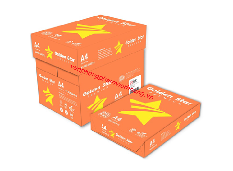 giayingoldenstar12